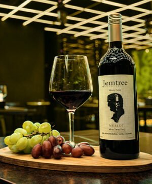 jemtree-merlot-red-wine-malaysia