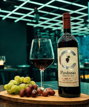 pastoso-merlot-red-wine-malaysia